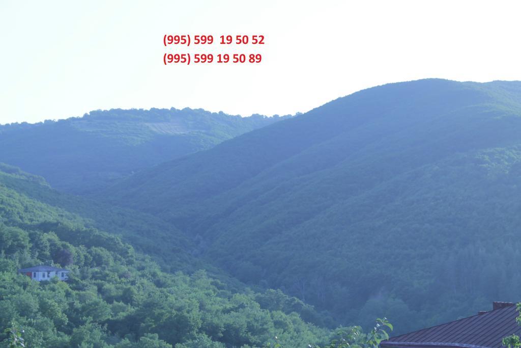 Best Host Sighnaghi Ngoại thất bức ảnh